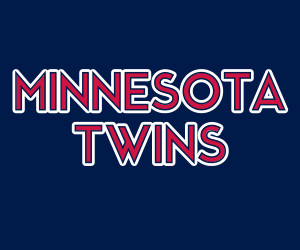Minnesota Twins copy